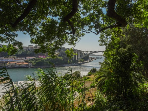Blick auf die Ponte da Arrábida in Porto
