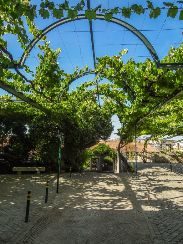 Eingang des Taylor's Port in Vila Nova de Gaia in Porto