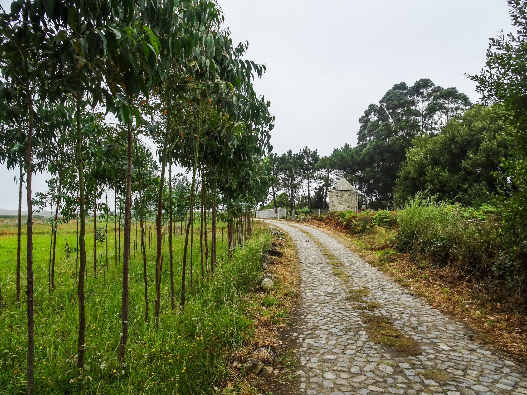 Feldweg in Marinhas