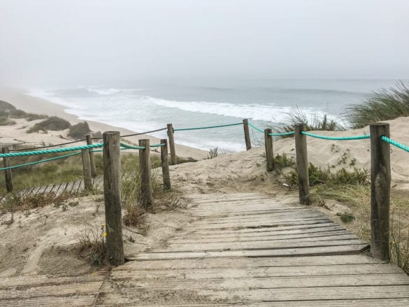 erhöhter Steg auf den Dünen am Jakobsweg Portugal