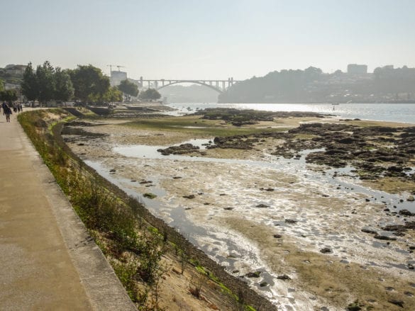 Douroufer mit Blick auf Ponte da Arrábida in Porto am Jakobsweg Portugal