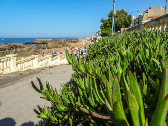 Praia de Gondarém in Foz am Jakobsweg Portugal
