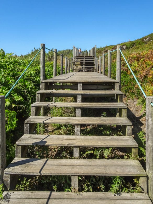 Holzpfad Treppe zum Vértice Geodésico de São Paio in Lamosa am Jakobsweg Portugal