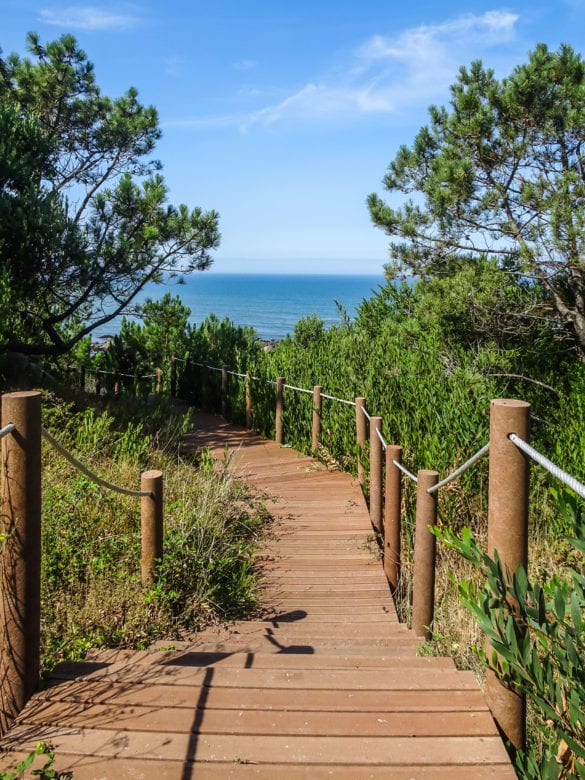 Holzpfad durch Ecovia Litoral Norte am Jakobsweg Portugal