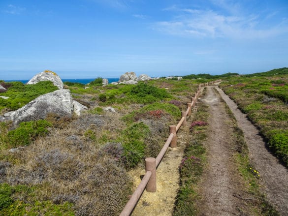 begrünte Felsküste in Montedor am Jakobsweg Portugal