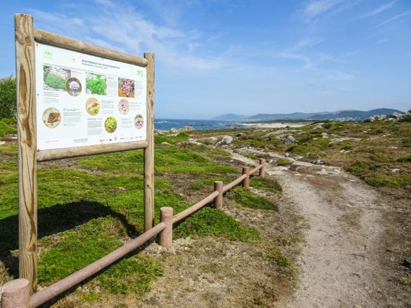 Beschilderung der Biodiversität der Felsküstenlandschaft am Jakobsweg Portugal