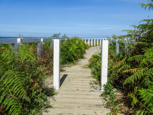 Holzpfad am Praia do Paçô
