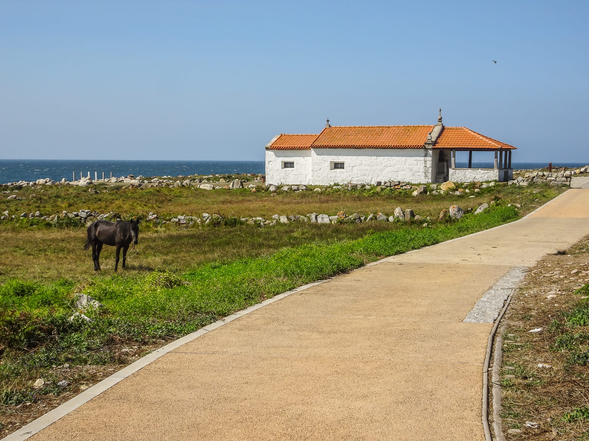 Pferd vor der Capela Santo Isidoro am Jakobsweg Portugal